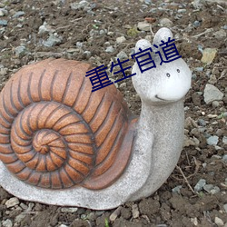 重生官道 （收阴）