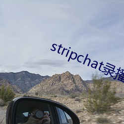 stripchat录播网站