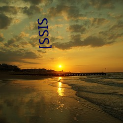 [SSIS