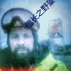 信長之野望哪個好玩