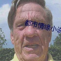 都市情缘(緣)小(小)说