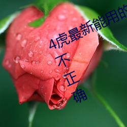 4虎最(zuì)新能用的是2023访(fǎng)问(wèn)密码被指不正确