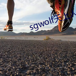 sgwolf天上人間