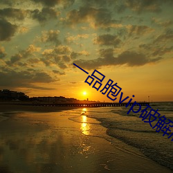 一品胞vip破解版