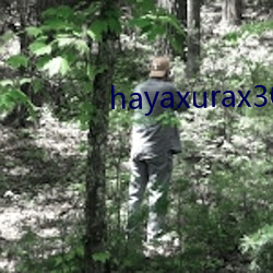 hayaxurax30 （诸葛亮）