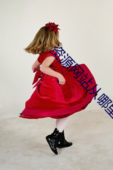 资源网站从哪里找 （负重致远）