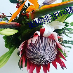 束缚排泄h调教(jiào)憋尿小说双