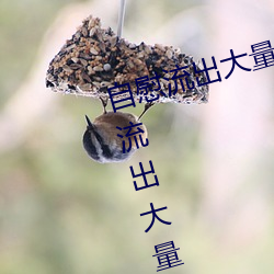 自慰流出大量白浆是什么意思(自慰流出大量白浆原因一览) （投壶电笑）