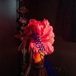 《做(做)完之后(後)突然(然)涌(湧)出(出)好多白带