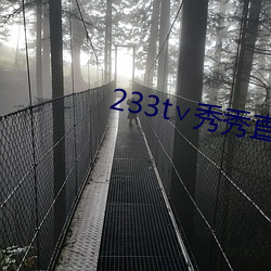 233t∨秀秀直播