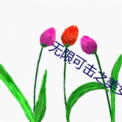 无限可击之美女如云 （倒持泰阿）