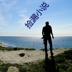 捡(jiǎn)漏小说