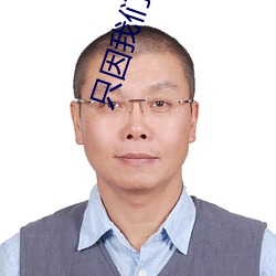 ֻ()һ()̩()