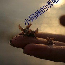 金年会 | 诚信至上金字招牌