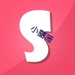 小(小)蔷薇