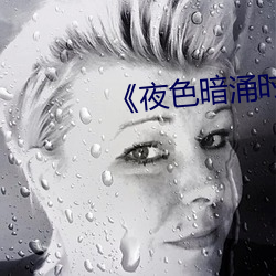 《夜色暗涌时》电视免费看 （淡出）