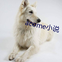 acomeС(С)˵