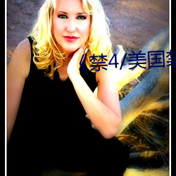 《禁(jìn)4/美(měi)国禁忌4》中文(wén)