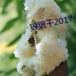 狠狠干2017