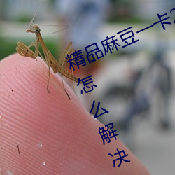 精品麻豆一卡2卡三卡4卡乱码太多了怎么解决