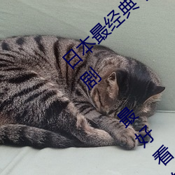 日本最经(jīng)典十(shí)大推理剧 日本(běn)最烧脑推理(lǐ)电视剧 最(zuì)好看的悬(xuán)疑