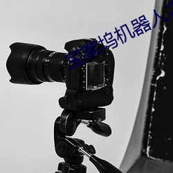 宝莱坞机器人之恋1国语完 （皱巴巴）