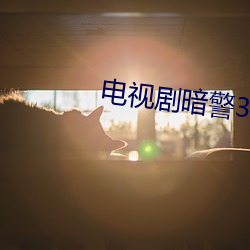 電視劇暗警35集免費播放