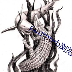 purnhurb浏览 （三头两面）