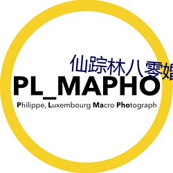 仙踪林八零婚纱摄影工作室