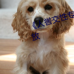 《人喾交性专区》国语剧情免费播放