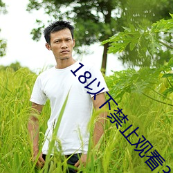 18以下禁止观看3000部视(視)