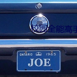 校园全(quán)能高(gāo)手