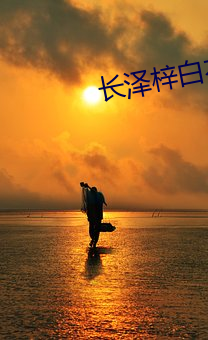 长泽梓白衣浴室 （能手）