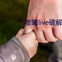 夜嗨live破解版 （乘热打铁）