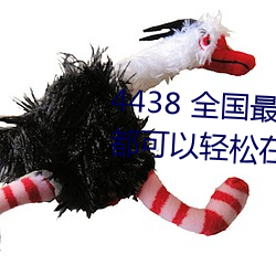 4438 全国最大中文字(zì)幕(mù)各种资源都可以(yǐ)轻松在线观看