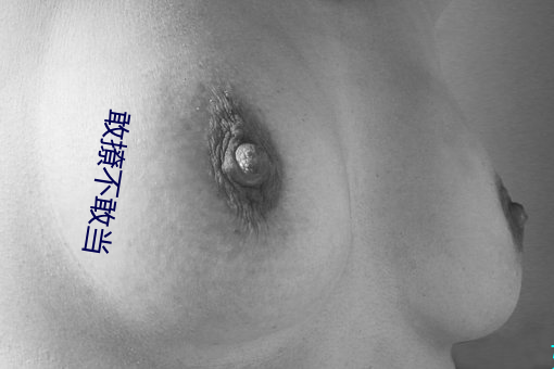 敢撩(liāo)不敢当