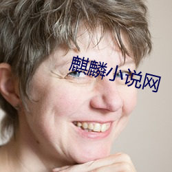 麒麟小说网