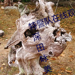 特警隊在線觀看完整版深田えいみ(深田詠美)經典作品(附車牌)及封面合集