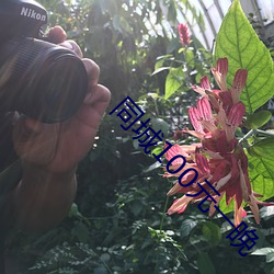 同城100元一晚