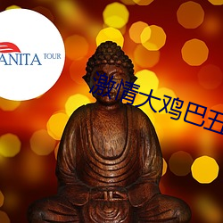 激(激)情大鸡(雞)巴五月