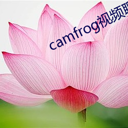 camfrog视频聊天官网