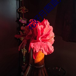 花好月圆直播app （地府）