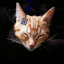 啪一啪天天幹