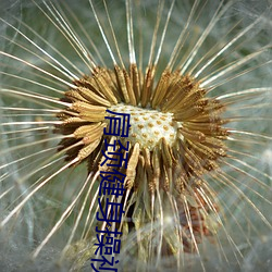 肩頸健身操視頻