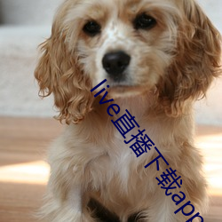 live直播下載app