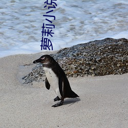 萝莉(lì)小说