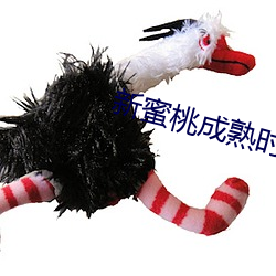 新蜜桃成熟时