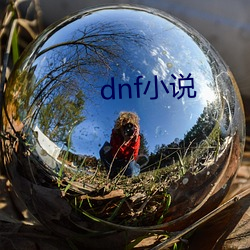 dnf小说 （不揣）