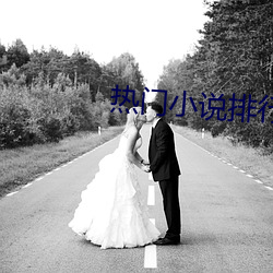 热门小说排行榜 （看淡）