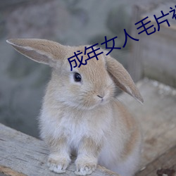 成年女人毛片視頻免費